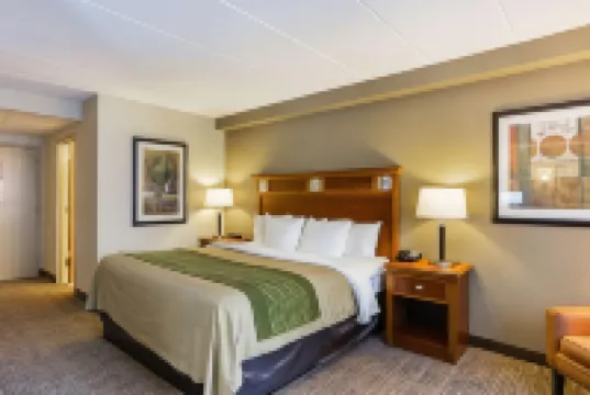 Comfort Inn Herndon-Reston