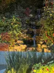 Sapere House - 4-Star