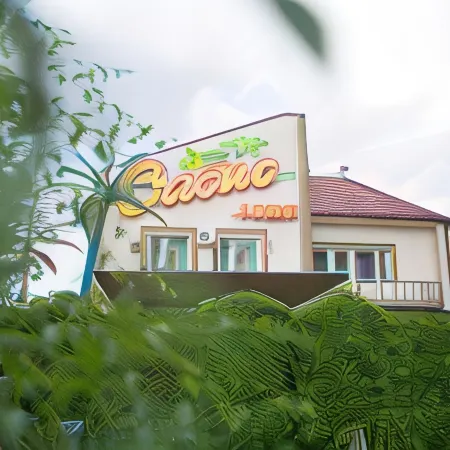 Оазис