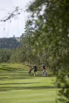 Hestraviken Hotell & Spa - Gym