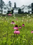 Wonderful 3 Bdrm 3 Bath Condo w Great Views & Tons to do! - Wifi