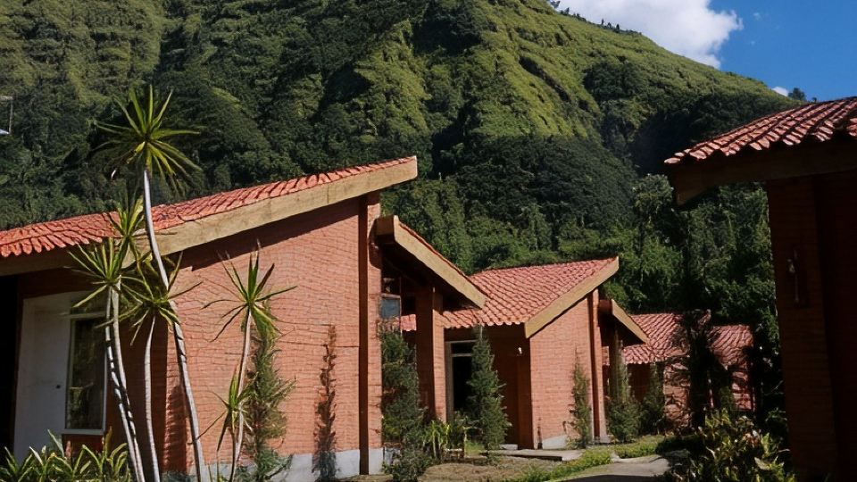 Bromo Terrace Hotel
