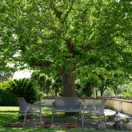 Historic villa with trulli in Valle D'itria surrounded by nature