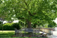 Historic villa with trulli in Valle D'itria surrounded by nature