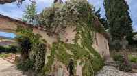 Provencal villa for 10 people with swimming pool and garden in Grasse