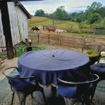 Rustic Luxury w/Horses-Historic Whiskey Distillery - Homestays