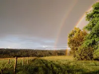 Luxury vineyard log cabin in the Yarra Valley Hotels in Warburton