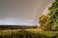 Luxury vineyard log cabin in the Yarra Valley - Wi-Fi
