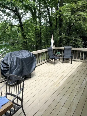 Canada Cottage / Sauna Cold Plunge Firepit Fishing / South Lake Lanier