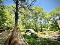 Enchanting Lake front chalet with backyard and fire pit. Dog friendly. Hotels in Kent