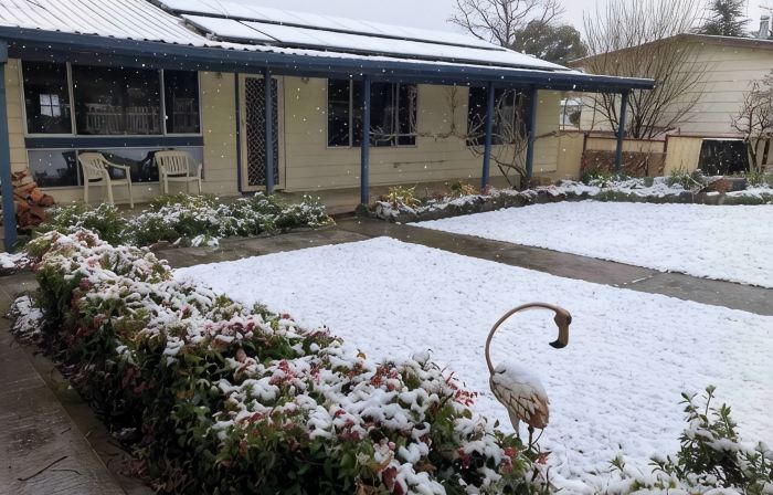 Kookaburra Cottage Berridale