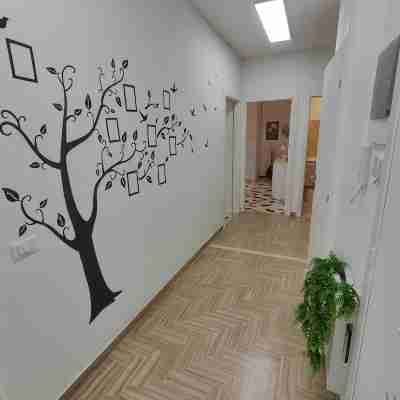 Ample accommodation between Rome, Ciampino and Fiumicino airports, Palatorrino, Ostia Others