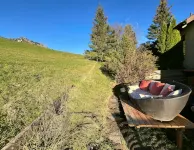 Cozy chalet in the Swiss Alps with Heidi bed. Pet friendly! - Wifi