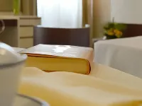Hotel Il Maglio Hotels in Imola