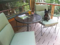Private Getaway-17 miles to Asheville,  Hot Tub & Fireplace, Pet Friendly - 샬레 호텔