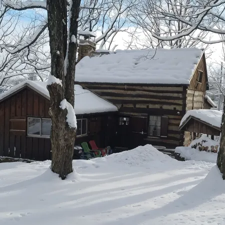 Historic pet friendly cabin with shooting range, and ATV trails on 80 acres.