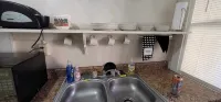 Cozy, yet spacious studio apt. - 홈스테이