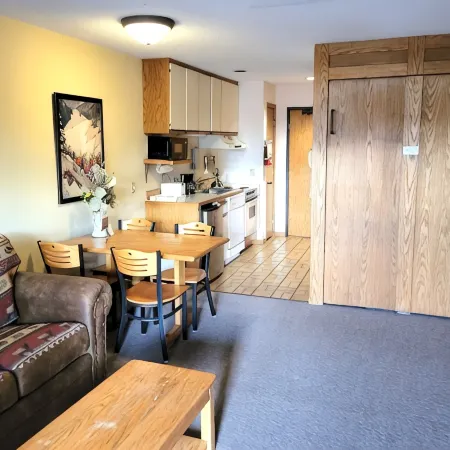 SKI-OUT & IN! Hike, bike, fish, golf, beautiful Lake Superior N Shore/Sleeps 2+