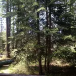 Cozy Guest Cabin Near River, Lake, And Hiking Access. - Wi-Fi