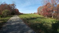 Peacefull, Private Cabin! 140 Acres,Mile of River Trails! 10 Minutes to Rt.151!