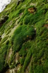 “Climber's Den” Rare Cliffside Stay w/ HotTub RRG