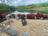 Private Heated Pool the House on the Cove