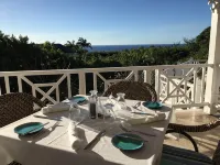 Fabulous Sugar Hill Penthouse with Roof Terrace Hoteles en Mount Standfast