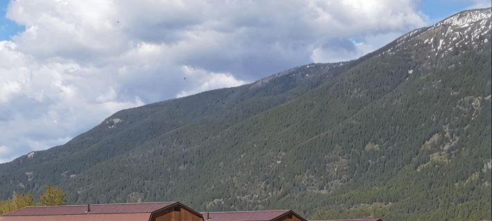 Glacier Acres Guest Ranch Hotels in Flathead County