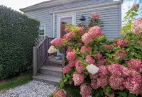 Walk to Beach/Cliff Walk! Fantastic Location! Winter Rentals! Fenced Yard! Pets!