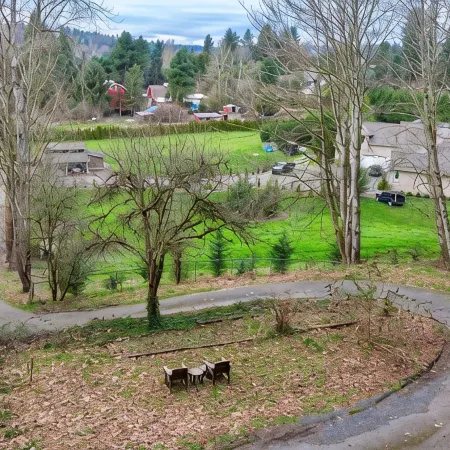 Charming 3-bedroom cabin in Woodinville with AC, WiFi