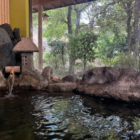 Hosenji Onsen Takimotokan