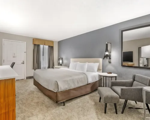 Quality Inn Daytona Speedway - I-95 Hotels near Daytona 500 Experience