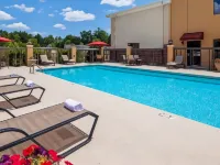 Best Western Plus Suites-Greenville Hotels in Pitt County