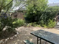 Treehouse Guesthouse: 3 Br Unique Home for 8 Adults Plus 400 sq ft Fun Treehouse