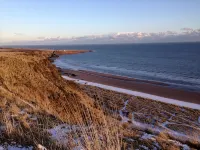 Cottage With Secure Garden, Wood Burning Stove And Sea Views - Homestays