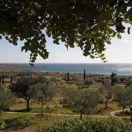 Villa Venus