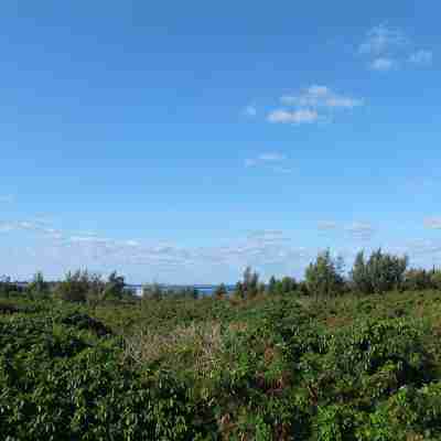 Guesthouse Attakaya (Miyakojima) Others