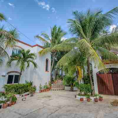 5-Star Experience! Oceanfront Villa w/ Private Beach + Pool, Snorkelling Hotel Exterior