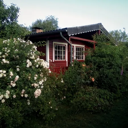 Very cozy Scandinavian log house in a quiet location on a large plot