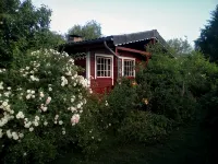 Very cozy Scandinavian log house in a quiet location on a large plot - 2-Sterne