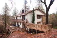 Mountain Cabin w/ Gorgeous Forest Lounge & Hot Tub - Alppimaja