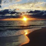 30A Sparkling Clean 🦋Salt therapy!Stay on BeachWest , pier park ocean front -  Casas de vacaciones