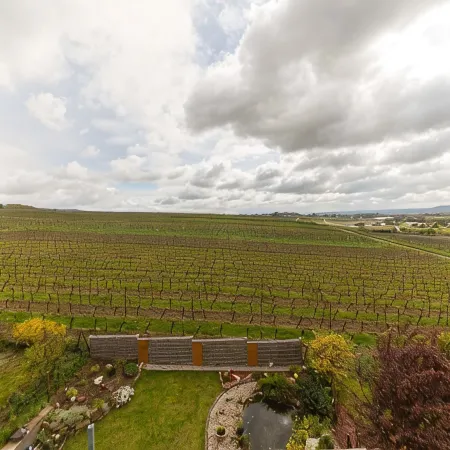 Relaxation in the vineyards - Ferienwohnung Isinger