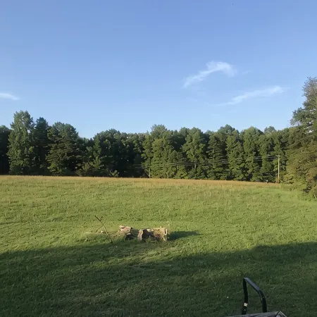 Pet Friendly 1 Bedroom Apartment; Quiet & Secluded - 1/2 hour from town