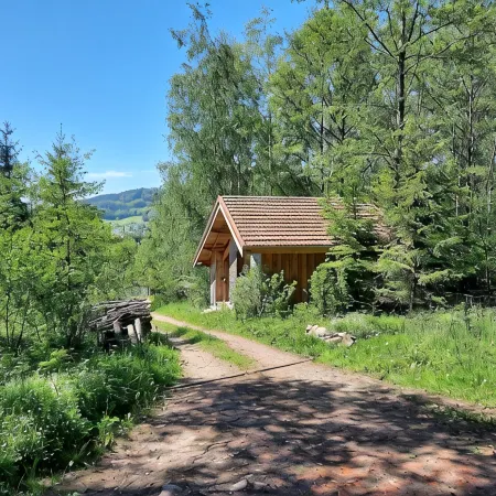 Chalet close to the forest with private spa jacuzzi