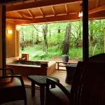 Tateshina Ai - Hot Springs