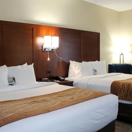 Comfort Inn & Suites Fultondale Gardendale I-65