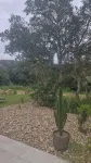 Maison D'architecte 2024, Lecci Corse,15 mn de Porto-vecchio - Proche mer - Wifi