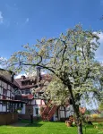 Schöne Große Ferienwohnung für 1-4 Gäste, zum Entspannen Bestens Geeignet - Homestays
