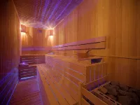 Mitannia Regency Hotel - spa